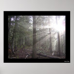 Passing Through Print