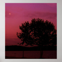 Passion Tree Poster