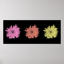 Pastel Chrysanthemums 2 Print