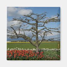 Pastoral Scene Magnets