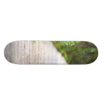 Path In Peat Moors In Sumava National Park Skateboard