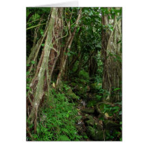 Path in the Hawaiian Rain Forest Card