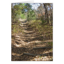 Path Through the Woods Card