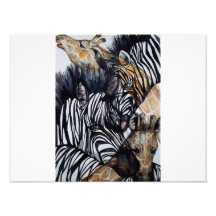 Patterns of Nature Photo Art