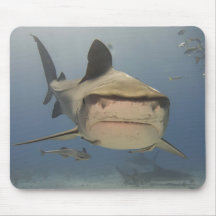 PC042065a-2 Mousepads