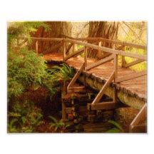 Peace 8x10 Print Photo Print