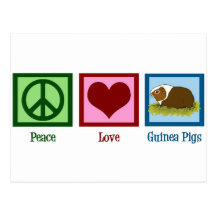 Peace Love Guinea Pigs Post Cards