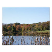 Peaceful Pond 10x8 Photographic Print