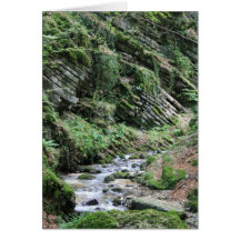 Peaceful Stream Cards