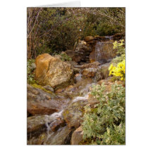 PEACEFUL WATERS GREETING CARDS
