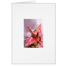 Peach Peony Peace Crane Cards