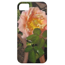 Peach Rose flower iPhone 5 Case