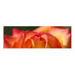 PEACH ROSE PROFILE CARDS BUSINESS CARDS