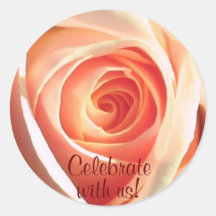 Peach Rose Sticker