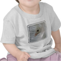 peacock-14 tee shirts