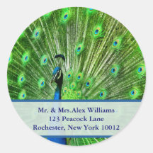 Peacock Address Labels Round Stickers