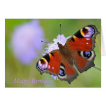 Peacock Butterfly Birthday Card