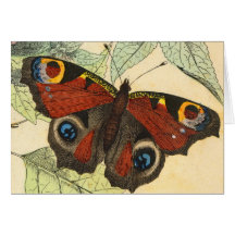 Peacock Butterfly Card