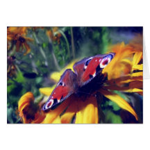 Peacock Butterfly Greeting Cards