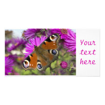 Peacock Butterfly Personalized Photo Card