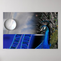 Peacock Dreams by Gregory Gallo Poster