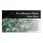 Peacock Feather Background Business Card