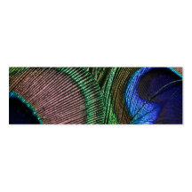 Peacock Feather Business Card