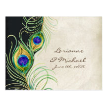 Peacock Feathers Black Damask RSVP Response Card Postcards