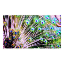 Peacock Feathers Business Card Template