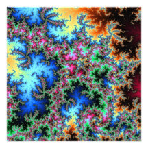 Peacock Feathers - Fractal Design Photographic Print