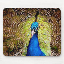 Peacock mousepad