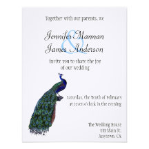 Peacock Plumes Wedding Invitation