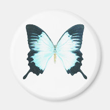 Peacock Royal Butterfly Fridge Magnet