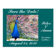 Peacock Save the Date Postcard