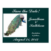 Peacock Save the Date Postcard
