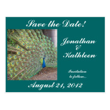 Peacock Save the Date Postcard