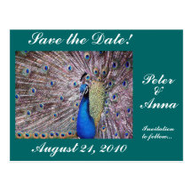 Peacock Save the Date Postcard