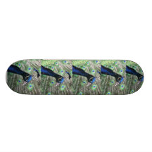 PEACOCK SKATE BOARD DECKS