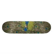 Peacock Skateboard