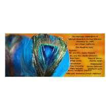 Peacock Spheres with Orange Wedding Program Personalised Invites