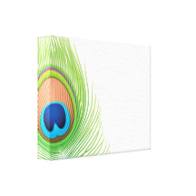 Peacock Stretched Canvas Prints