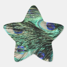 Peacock Tail - Feathers Close Up Photo Green, Blue Star Sticker