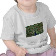Peacock Tee Shirt