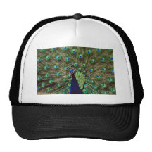 Peacock Trucker Hat