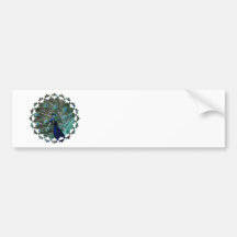 Peafowl Bird Bumper Sticker