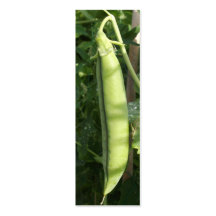 Peas in a Pod on a vine Business Cards