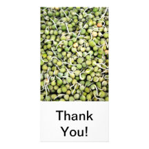 Peas Sprouts Photo Greeting Card