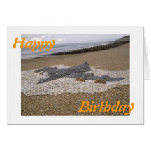 Pebble Aeroplane Cards