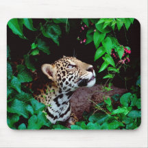 peek-a-boo mouse mats