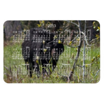 Peeking Bear; 2013 Calendar Rectangle Magnet